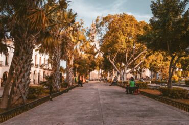 pathway, park, merida