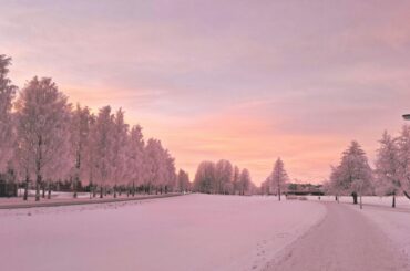 Oulu – A peaceful snowy winter sunset, ODIT Travels for your Finland Visa from Dubai.