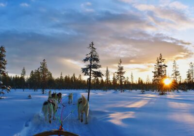 Dubai to Finland Visa: Complete Application Guide and Requirements