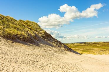 Bright sandy dunes with lush greenery under a clear blue sky in Skagen, Denmark.