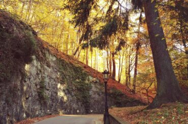 Charming autumn landscape in Bourglinster, Luxembourg, with a pathway surrounded by colorful trees.