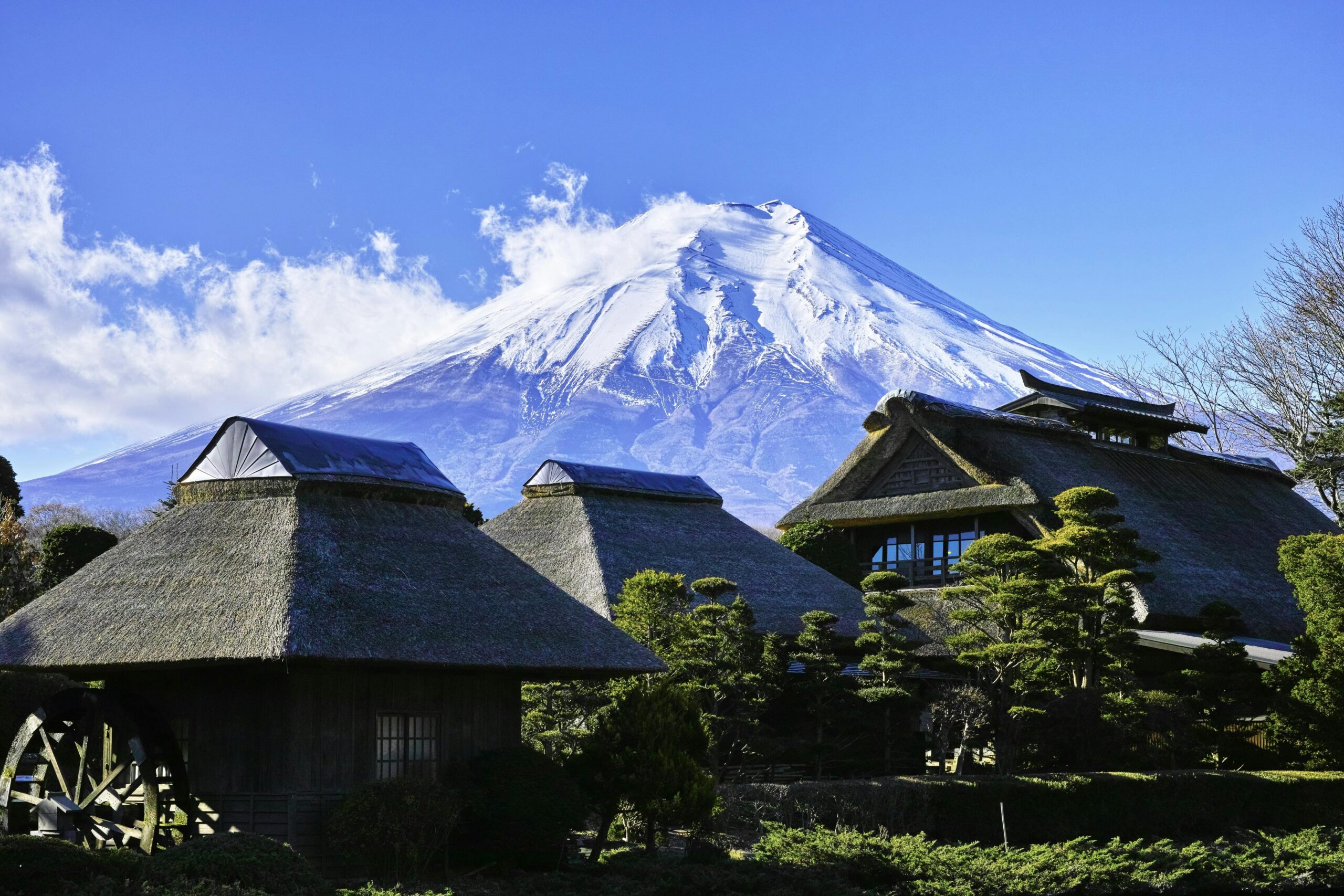 Japan Visa 2025: How Changes Over 5 Years Have Shaped Today’s Application Process