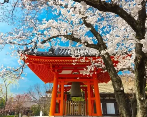 Japan Visa from Dubai