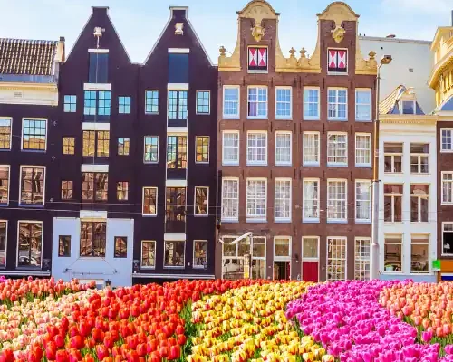 Netherlands visa from Dubai