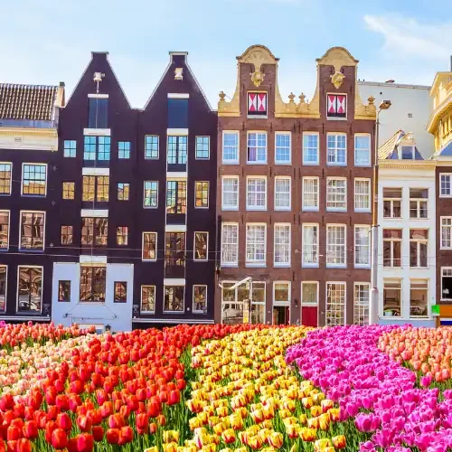 Netherlands visa from Dubai