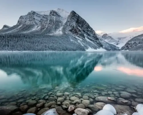 New Zealand Visa for UAE residents